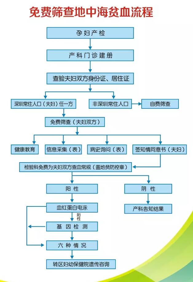 【重要通知】地中海贫血可以免费筛查啦！